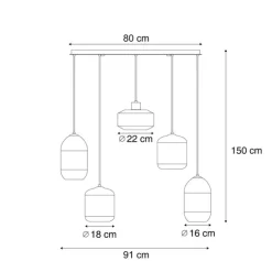 Moderne hanglamp zwart met smoke glas 5-lichts - Sheena