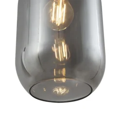 Moderne hanglamp zwart met smoke glas 3-lichts - Sheena