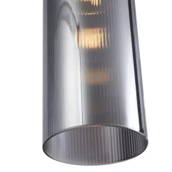 Moderne hanglamp zwart met smoke glas 6-lichts - Duplantis