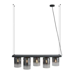 Moderne hanglamp zwart met smoke glas 5-lichts - Hybrid