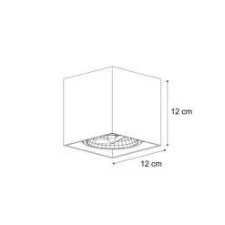Moderne opbouwspot beige G9 draai- en kantelbaar - Box