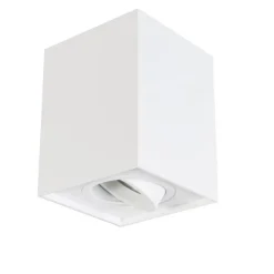 Moderne opbouwspot wit draai-en kantelbaar - Quadro 1 Up