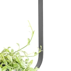 Moderne plafondlamp zwart met glas rechthoekig - Roslini