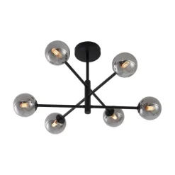 Moderne plafondlamp zwart met smoke glas 6-lichts - Ryan