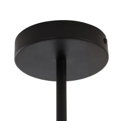 Moderne plafondlamp zwart met smoke glas 6-lichts - Ryan