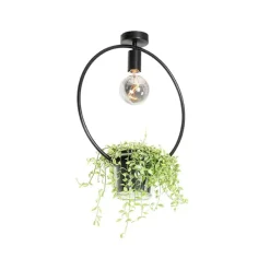 Moderne plafondlamp zwart met glas rond - Roslini