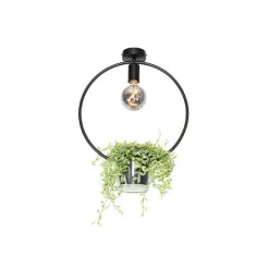 Moderne plafondlamp zwart met glas rond - Roslini