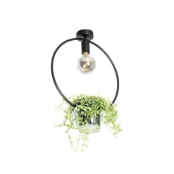 Moderne plafondlamp zwart met glas rond - Roslini