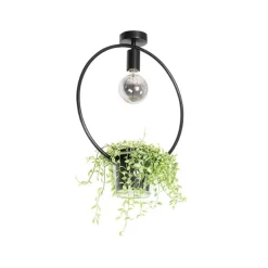 Moderne plafondlamp zwart met glas rond - Roslini