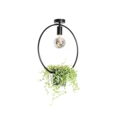 Moderne plafondlamp zwart met glas rond - Roslini