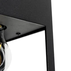 Moderne plafondlamp zwart 2-lichts - Cela