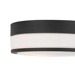 Moderne plafondlamp zwart 28 cm IP44- Flavi