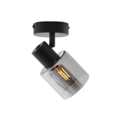 Moderne plafondlamp zwart met smoke glas rond - Cilin