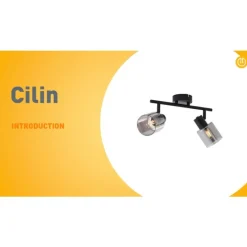 Moderne plafondlamp zwart met smoke glas rond 2-lichts - Cilin