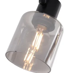 Moderne plafondlamp zwart met smoke glas rond 2-lichts - Cilin