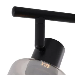 Moderne plafondlamp zwart met smoke glas rond 2-lichts - Cilin