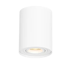 Moderne plafondspot wit draai- en kantelbaar - Rondoo up