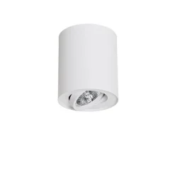 Moderne plafondspot wit draai- en kantelbaar AR70 - Rondoo Up