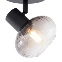 Moderne plafondspot zwart met smoke glas rond - Teddy