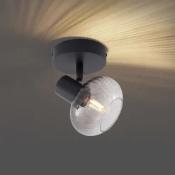 Moderne plafondspot zwart met smoke glas rond - Teddy