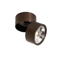 Moderne spot donkerbrons rond verstelbaar - Go Nine