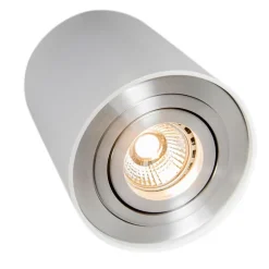 Moderne spot wit en staal draai- en kantelbaar - Rondoo up