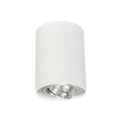 Moderne spot wit en staal draai- en kantelbaar - Rondoo up