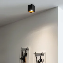 Moderne spot zwart met goud - Quba delux