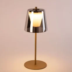 Moderne tafellamp mushroom goud met smoke glas incl. LED - Jent