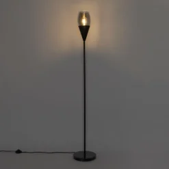Moderne vloerlamp zwart met smoke glas - Drop