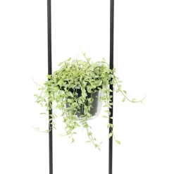 Moderne vloerlamp zwart met glas 25 cm - Roslini