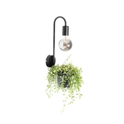 Moderne wandlamp zwart met glas - Roslini