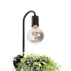 Moderne wandlamp zwart met glas - Roslini