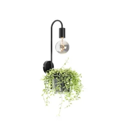 Moderne wandlamp zwart met glas - Roslini