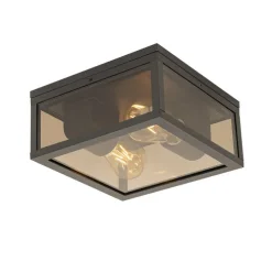 Plafondlamp zwart met smoke glas 2-lichts IP44 - Charlois