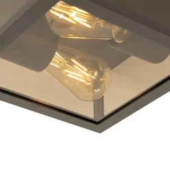 Plafondlamp zwart met smoke glas 2-lichts IP44 - Charlois