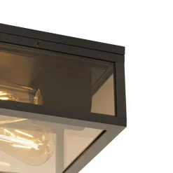 Plafondlamp zwart met smoke glas 2-lichts IP44 - Charlois