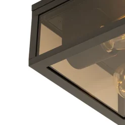 Plafondlamp zwart met smoke glas 2-lichts IP44 - Charlois