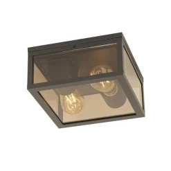 Plafondlamp zwart met smoke glas 2-lichts IP44 - Charlois