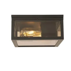 Plafondlamp zwart met smoke glas 2-lichts IP44 - Charlois