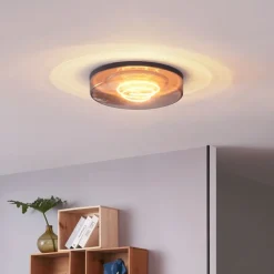 Plafondlamp zwart met smoke glas 35,5cm incl. LED dimbaar - Fira