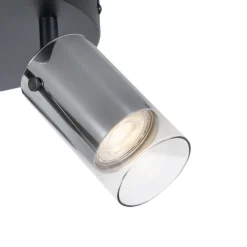 Plafondspot gunmetal rond 3-lichts draai- en verstelbaar - Drain