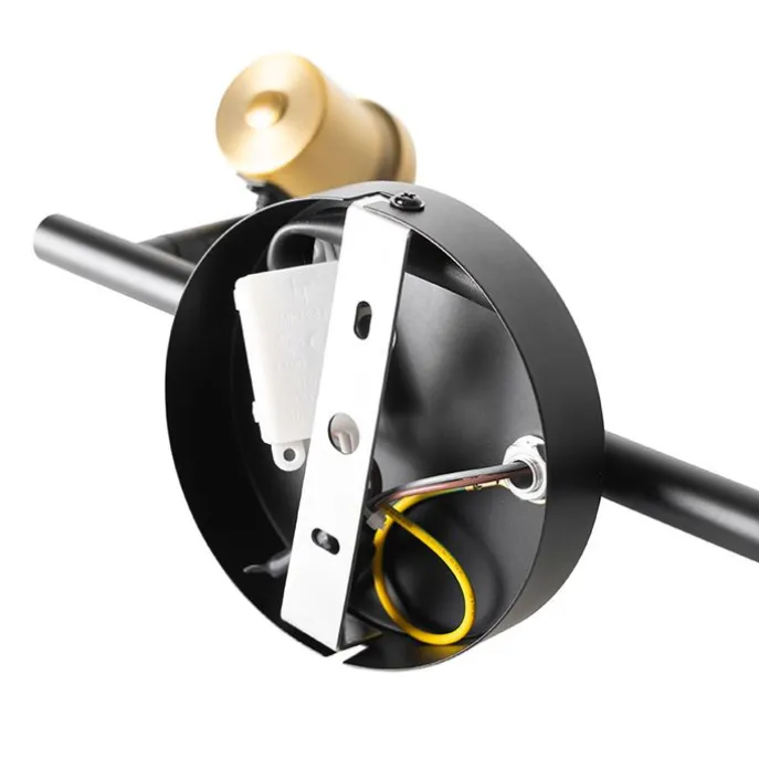 Plafondspot zwart met goud met smoke glas 2-lichts - Zuzanna