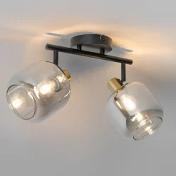 Plafondspot zwart met goud met smoke glas 2-lichts - Zuzanna