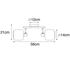 Plafondspot zwart met goud met smoke glas 2-lichts - Zuzanna