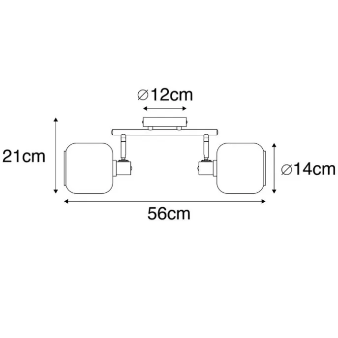 Plafondspot zwart met goud met smoke glas 2-lichts - Zuzanna