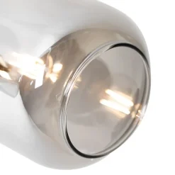 Plafondspot zwart met goud met smoke glas 2-lichts - Zuzanna