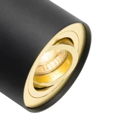 Plafondspot zwart met goud draai- en kantelbaar - Rondoo up