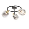 Plafondspot zwart met smoke glas rond 3-lichts - Zuzanna