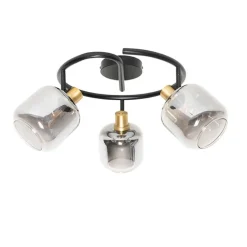 Plafondspot zwart met smoke glas rond 3-lichts - Zuzanna